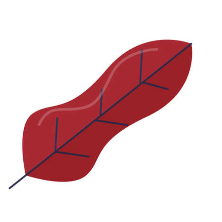 autumn leaves Autumnのイラスト素材