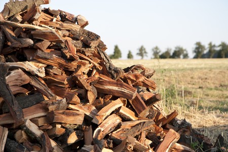 Pile of fuel wood in a fieldの写真素材