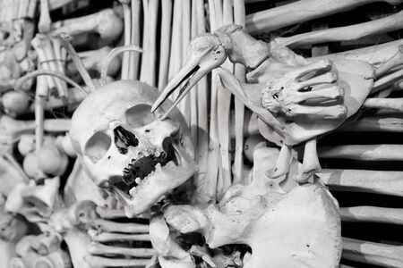 Skulls and bones - in a tombの写真素材