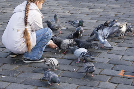 Kid feeding flock of pigeonsのeditorial素材