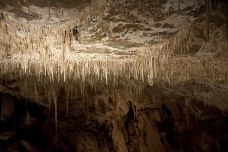 Cave full of stalactites and prehistoric geologic features 