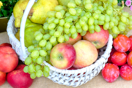 Apples, pears, grapes, peaches, plums from fresh harvest in a white wicker basket.の写真素材