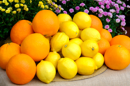 Organic fresh citrus fruits in a white wicker basket. Yellow lemons, orange orangesの写真素材