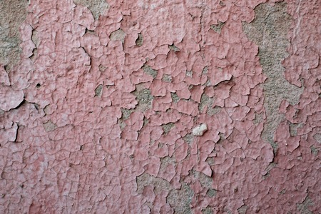 Texture of the old plaster wall of the houseの写真素材