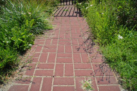 Red cobblestone concrete walkingpath to an estate with grass on the sides. Way to home concept.の写真素材