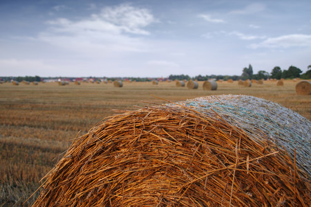 Dry hay bales after mowing on field with village in background