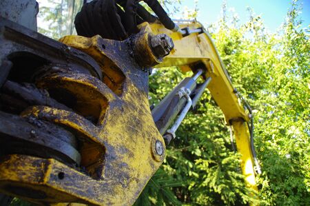 Deforestation and ecological devastation. Forest harvesting machine.