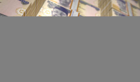 Nigerian Naira money pack 3d illustration. NGN banknote bundle stacks. Concept of finance, cash, economy crisis, business success, recession, bank, tax and debt in Nigeria.の写真素材