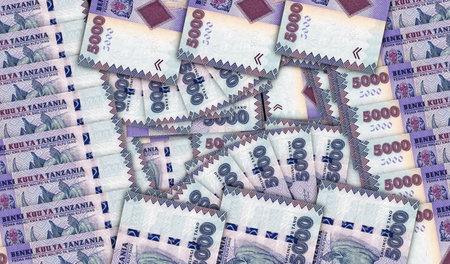 Tanzania shilling banknotes in a cash fan mosaic pattern. Tanzanian TZS 5000 money notes. Abstract...