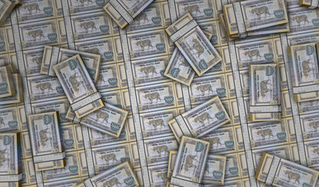Nepal money Nepali rupees money pack 3d illustration. 500 NPR banknote bundle stacks. Concept of...
