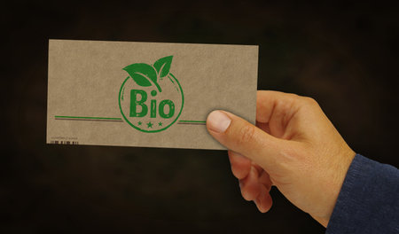 Bio organic box in hand. Natural healthy food cardboard pack factory. Abstract concept 3d illustration.の写真素材