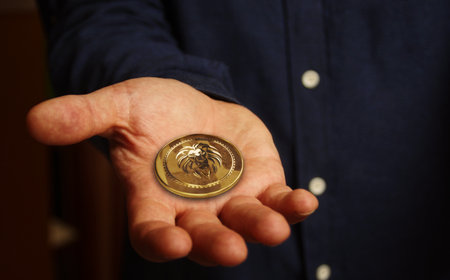 Lion symbol golden coin in hand abstract conceptの写真素材