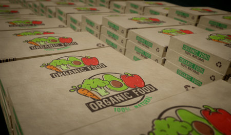 Vegetables food healthy diet box production line. Natural vegan nutrition cardboard pack factory. Abstract concept 3d illustration.の写真素材