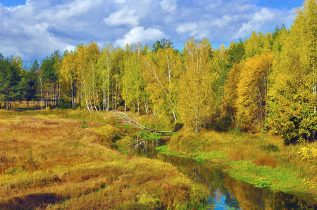 Autumn on the quiet riverの写真素材