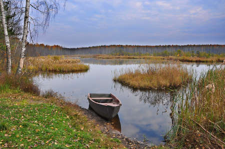 Russian autumn is a very beautiful and colorful. The grey sky contrasted with the yellow and red leaves.の写真素材