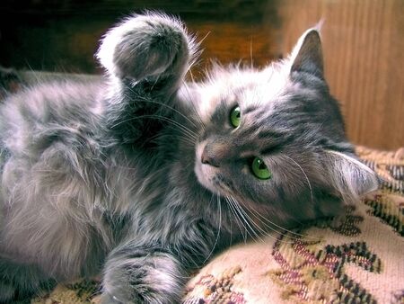 do not touch meの写真素材