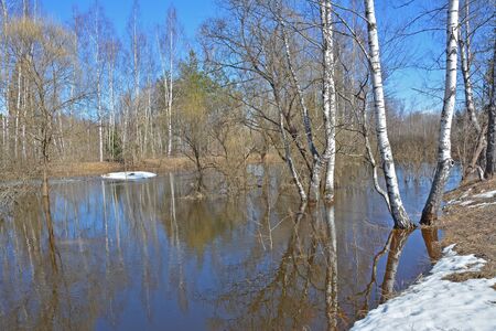 Spring on the riverの写真素材