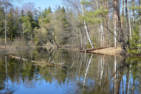 April on the riverの写真素材