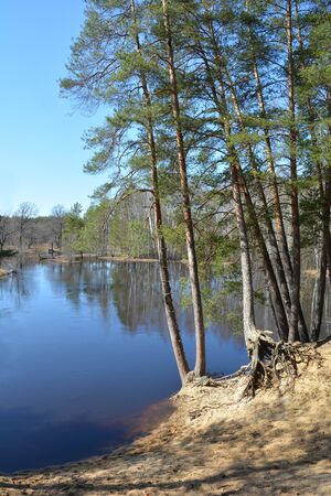 April on the riverの写真素材