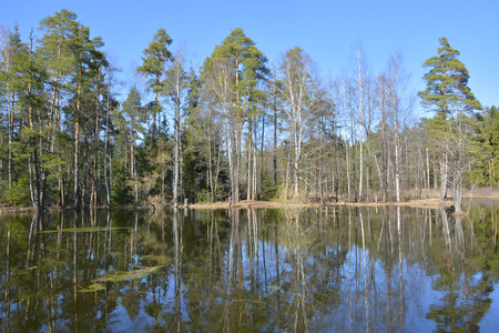 Spring on the riverの写真素材