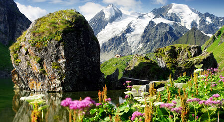 beauty of nature in the Alpsの写真素材