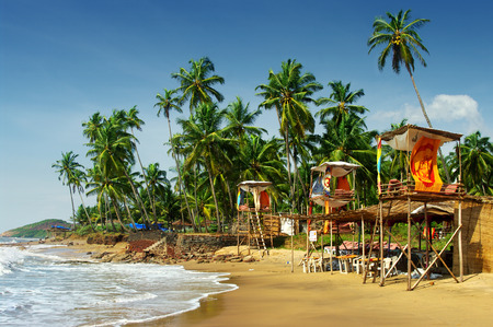 idyllic beach in Goa, Indiaの写真素材
