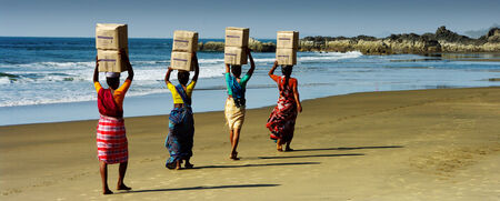indian ladies at workの写真素材