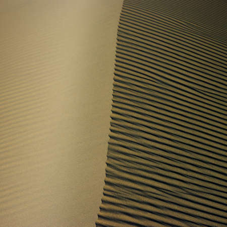 sand duneの写真素材