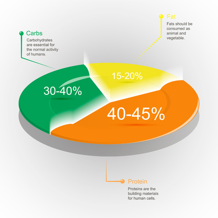 Diagram food on a plate Percentage. Food chartのイラスト素材