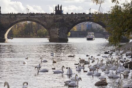 The famous Charles Bridge and the Vltava river in Prague on an autumn afternoon.の写真素材
