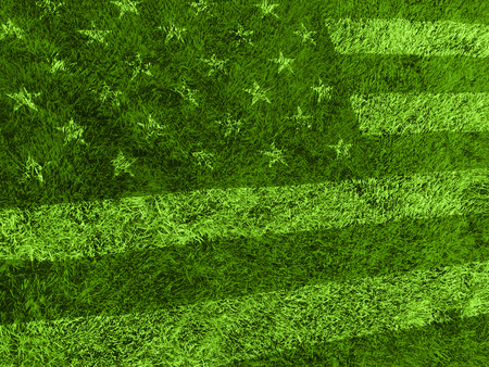Green grass lawn in american flag styleの写真素材