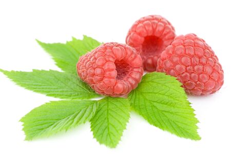Fresh raspberries on white backgroundの写真素材
