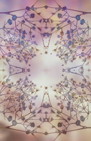 flower graphicsの写真素材