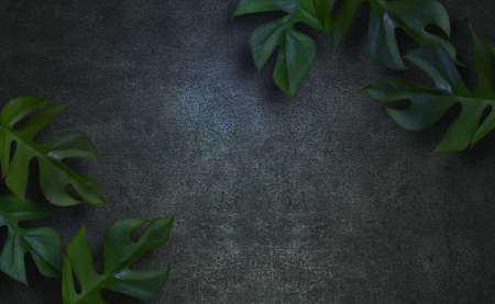 Plant frame graphics of Monstera with concrete background