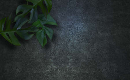 Plant frame graphics of Monstera with concrete background