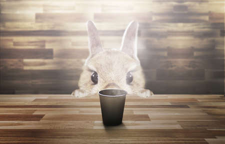 CG graphics background of a pet rabbit child staring atの写真素材