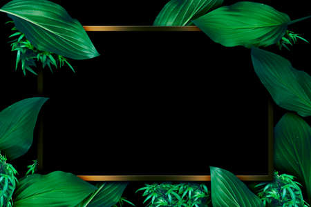 Black back graphics with leaves and gold frames