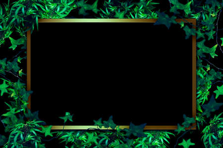 Black back graphics with leaves and gold frames