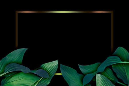 Black back graphics with leaves and gold frames