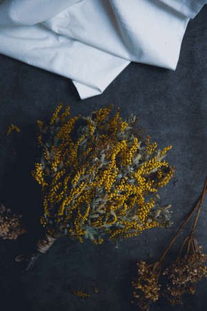 Mimoza Dried Flower