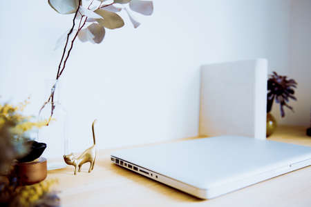 Snap photos around laptop and workspace tableの写真素材