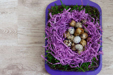 many quail eggs lie on the violet decor in the form of a nest, on the green grass that grows in the ground on a tray standing on a tableの写真素材