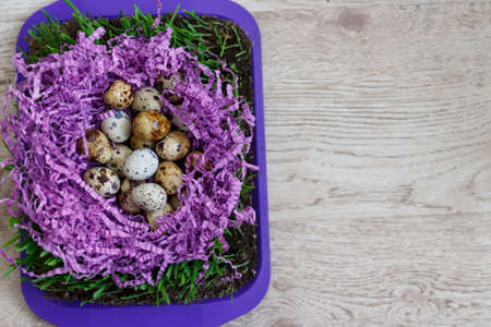 many quail eggs lie on the violet decor in the form of a nest, on the green grass that grows in the ground on a tray standing on a tableの写真素材