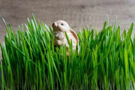 beige, toy rabbit sits in the green grassの写真素材