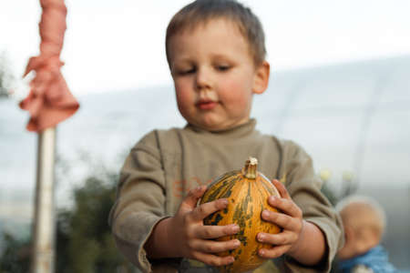 Smiling boy standing with big yellow pumpkin in hands.boy with pumpkin.the boy is holding a pumpkinの写真素材