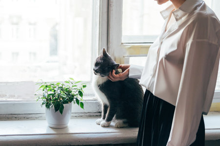 the girl is stroking the cat on the windowsill, in front of the window, next to it is a pot with a flower. caress.in a white shirt and black skirtの写真素材