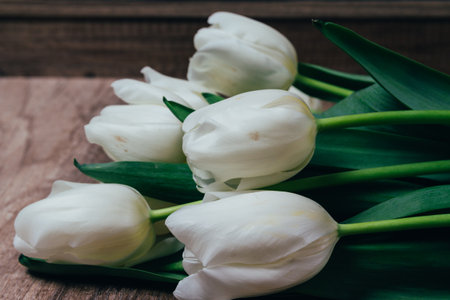 a bouquet of white tulips on a wooden backgroundの写真素材