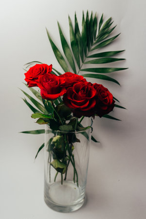 The studio photo of a red roses on a gray background, and green leaves, stand in a transparent vaseの写真素材
