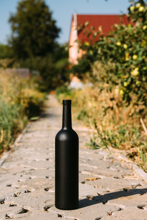 one gray bottle on the road from the tiles, the village, rural alcoholism, drunkenness. alcoholic illness. road in the countrysideの写真素材