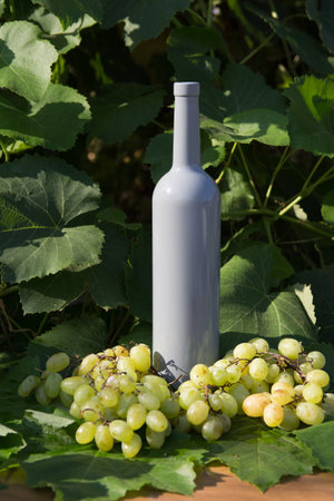 a bottle of wine stands on the background of the green leaves of the vineyard, near a bunch of grapes. vine. natural drink, private vineyards.countryside, natural productの写真素材